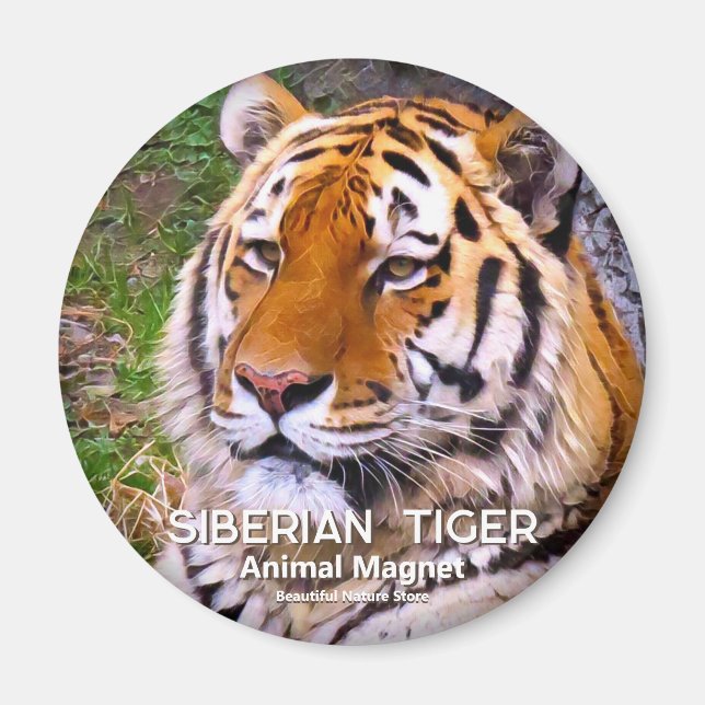Sibirischer Tiger Magnet (Vorne)