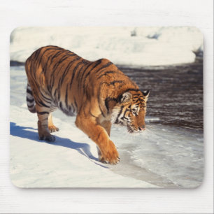 Sibirischer Tiger Mousepad