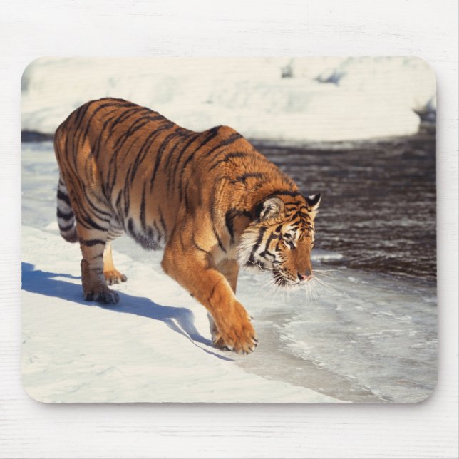 Sibirischer Tiger Mousepad (Vorne)