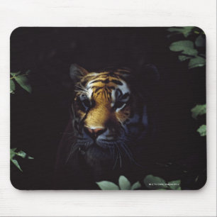 Sibirischer Tiger (Panthera Tigris Altaica) Peers Mousepad