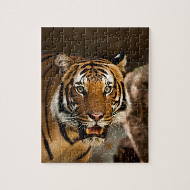 Sibirischer Tiger Puzzle (Vertikal)
