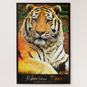 Sibirischer Tiger Puzzle