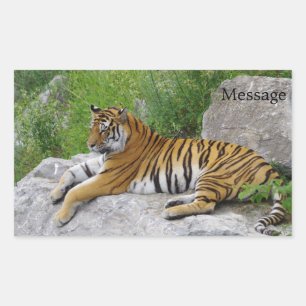 Sibirischer Tiger Relaxen auf einem Felsen Rechteckiger Aufkleber