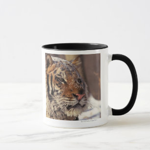 Sibirischer Tiger Tasse