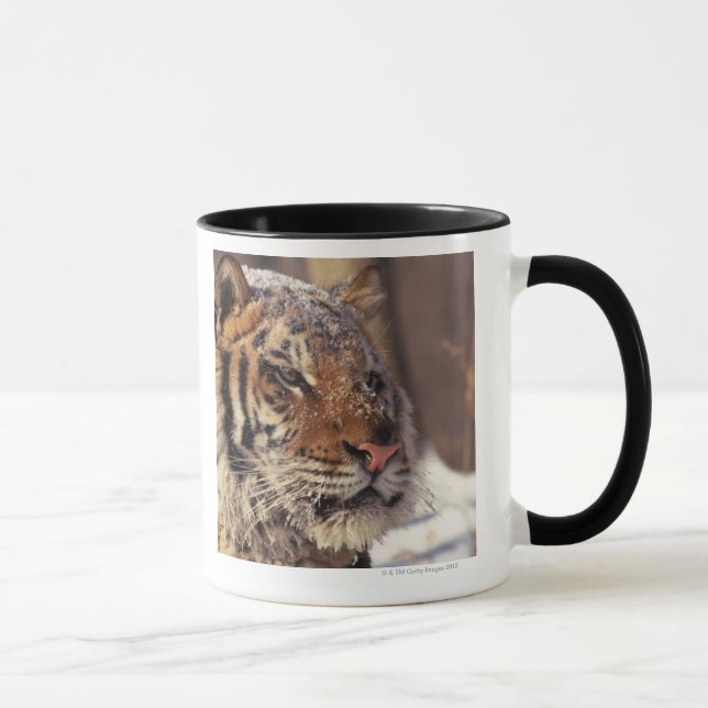 Sibirischer Tiger Tasse (Rechts)
