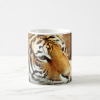 Sibirischer Tiger-verwandelnde Kaffee-Tasse
