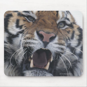Sibirischer verwirrender Tiger Mousepad