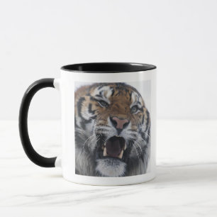 Sibirischer verwirrender Tiger Tasse
