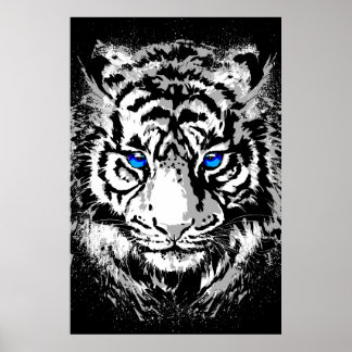 Sibirischer Weißer Tigerkopf - Tigerposter Blaue A Poster