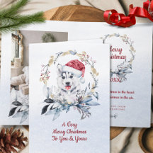 Sibirisches Husky Winter Foto Frohe Weihnachten
