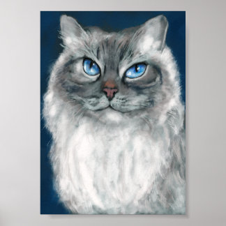 Sibirisches Katzen-Print Poster