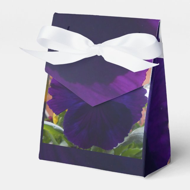 Sibylla Geschenkschachtel (Vorderseite)