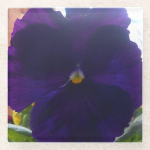 Sibylla Glasuntersetzer