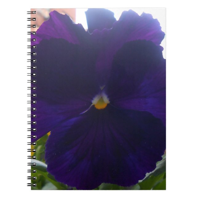 Sibylla Notizblock (Vorderseite)