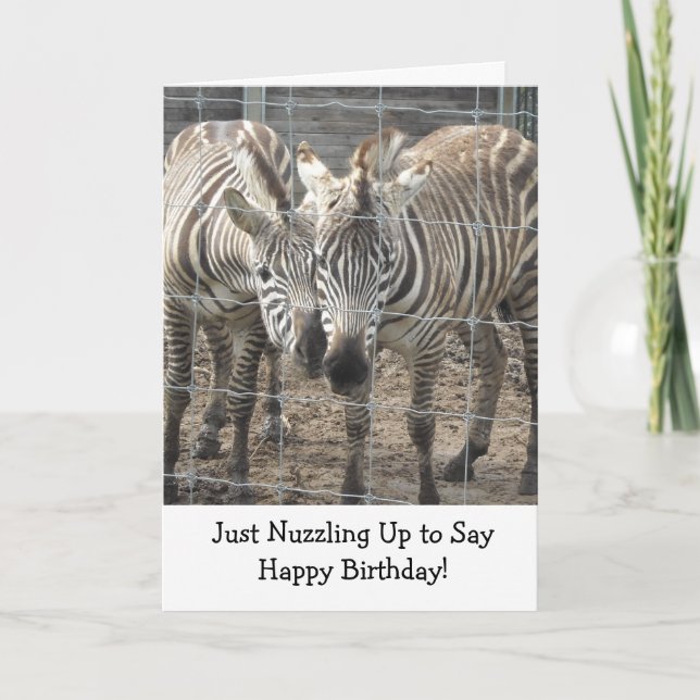 Sich aneinander schmiegende Zebras Karte (Vorderseite)