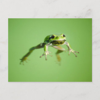Sich hin- und herbewegender Frosch im Postkarte