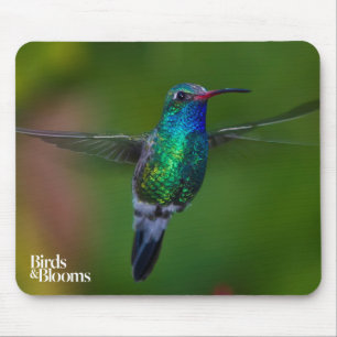 Sich hin- und herbewegender Kolibri Mousepad
