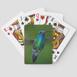 Sich hin- und herbewegender Kolibri Spielkarten