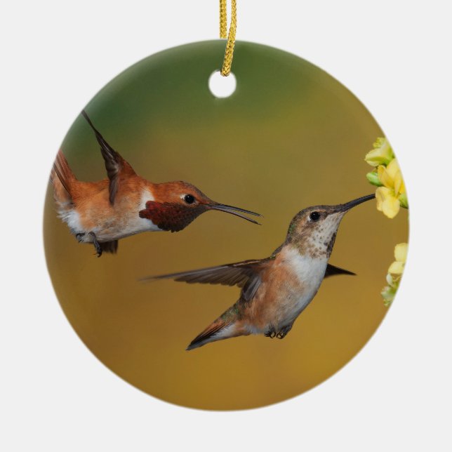 Sich hin- und herbewegender Rufous Kolibri Keramik Ornament (Vorne)