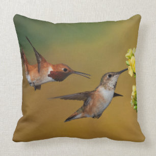 Sich hin- und herbewegender Rufous Kolibri Kissen