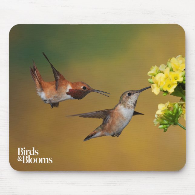 Sich hin- und herbewegender Rufous Kolibri Mousepad (Vorne)