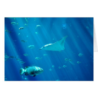 Sich hin- und herbewegender Sting-Strahl