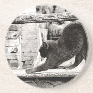 sich streckende Katze Untersetzer