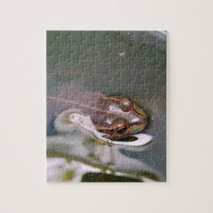 Sich umsehender Frosch Puzzle