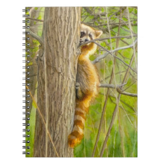 Sich umsehender Waschbär-Aquarell-Kunst Notizblock