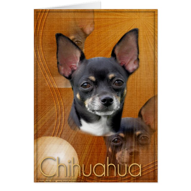 Sichelförmiger Mond - Isabella (Vorne)