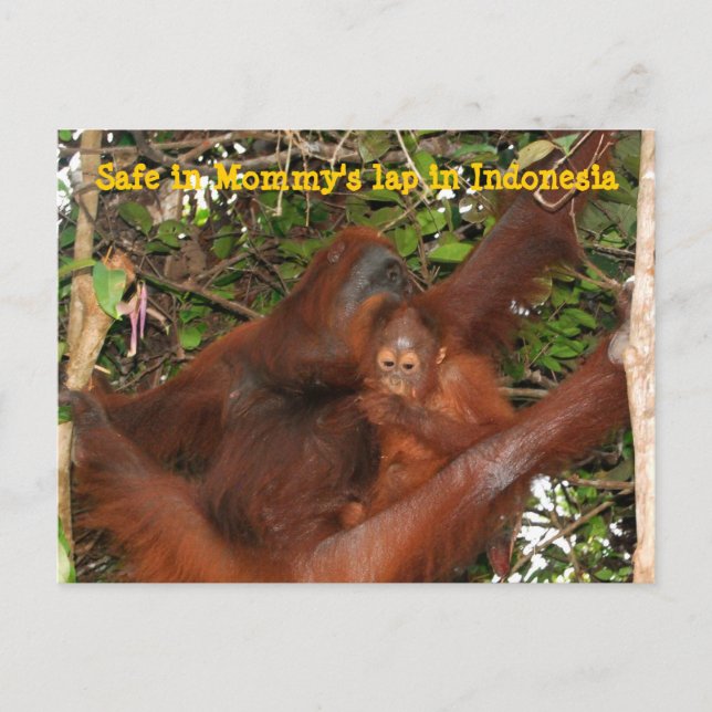 Sicher in Mommy's Lap Postkarte (Vorderseite)