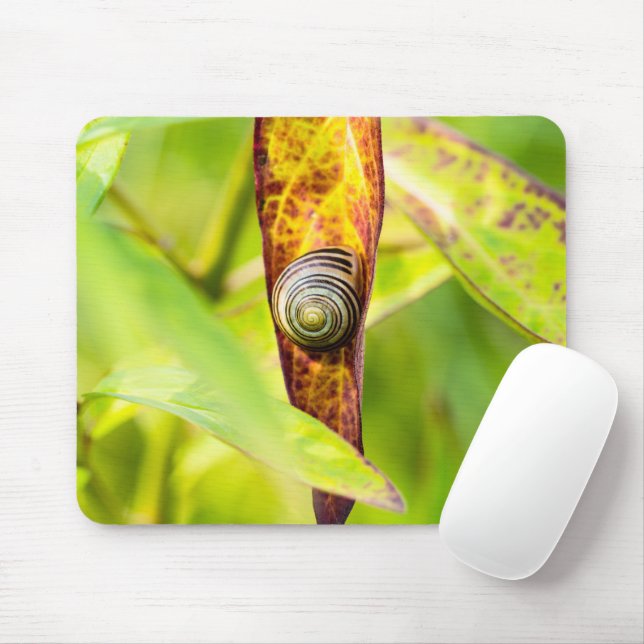 sichere Bindung Mousepad (Mit Mouse)