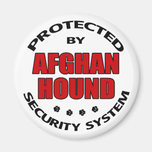 Sicherheit in Afghanistan Magnet