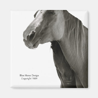 Sicherheit und Komfort Magnet