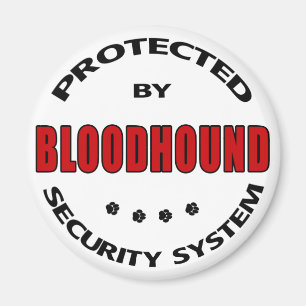 Sicherheit von Hunden im Blut Magnet