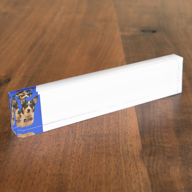 Sicherheitsbeamte Namensplakette (Seite)