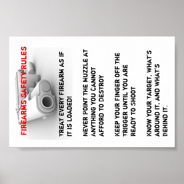 Sicherheitsvorschriften für Feuerwaffen Poster (Vorne)
