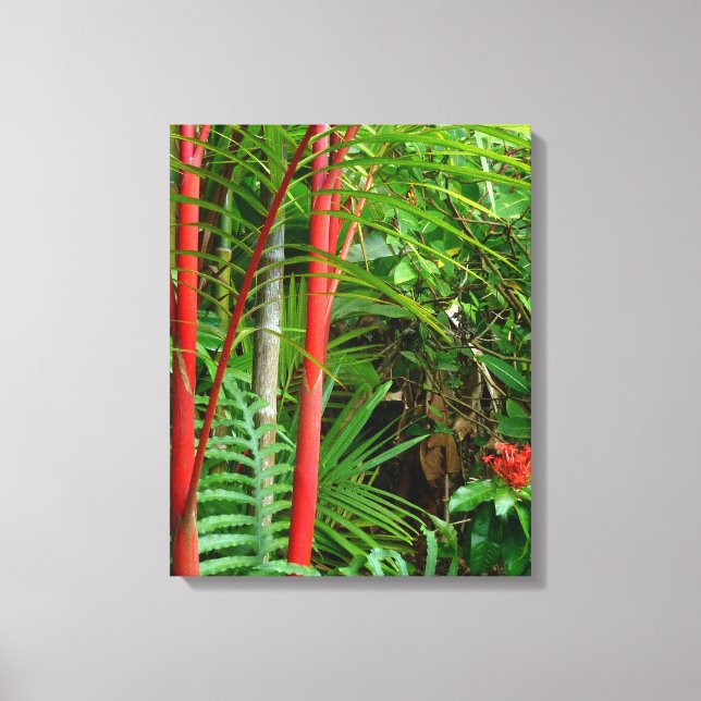 Sicherungen von Wax Palms Leinwanddruck (Vorderseite)