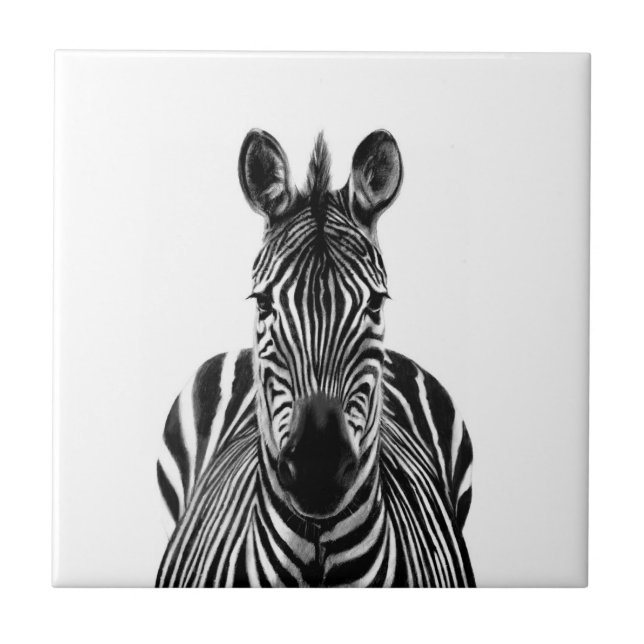 Sicherungsplan III Fliese (Vorderseite)