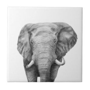 Sicherungsplan IV Fliese