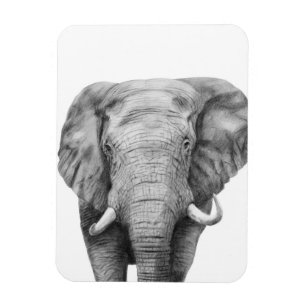 Sicherungsplan IV Magnet