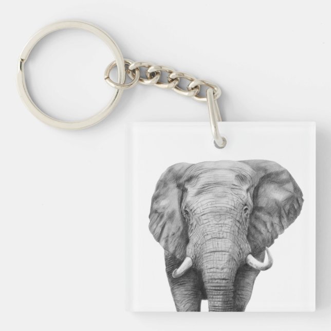 Sicherungsplan IV Schlüsselanhänger (Vorderseite)