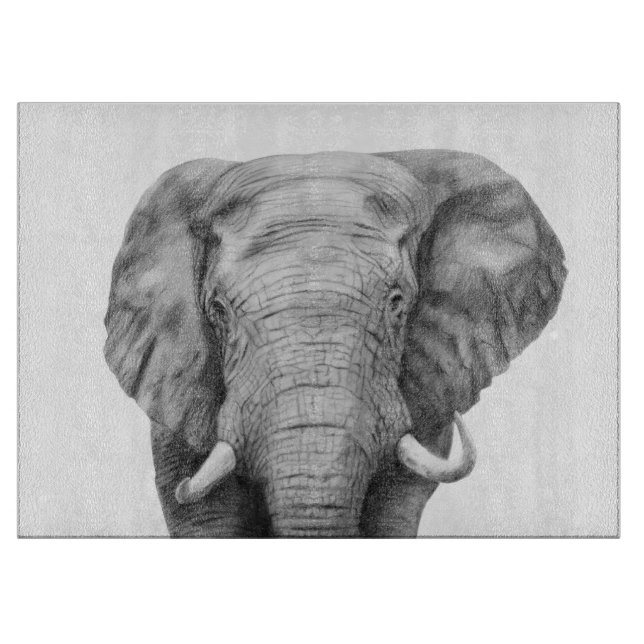 Sicherungsplan IV Schneidebrett (Vorderseite)