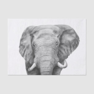 Sicherungsplan IV Seidenpapier