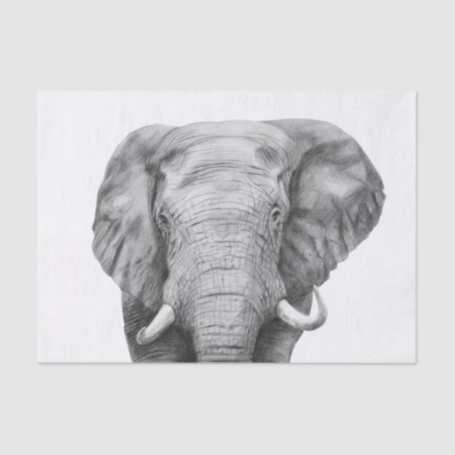 Sicherungsplan IV Seidenpapier (Vorderseite)