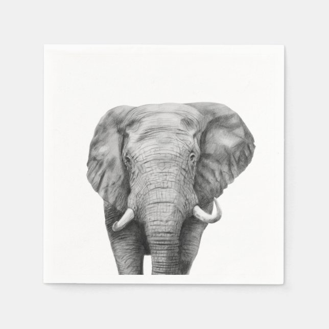 Sicherungsplan IV Serviette (Vorderseite)