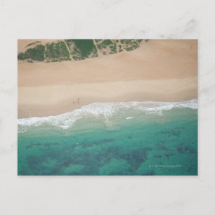 Sicht auf den Strand mit Meerblick, Port Elizabeth Postkarte