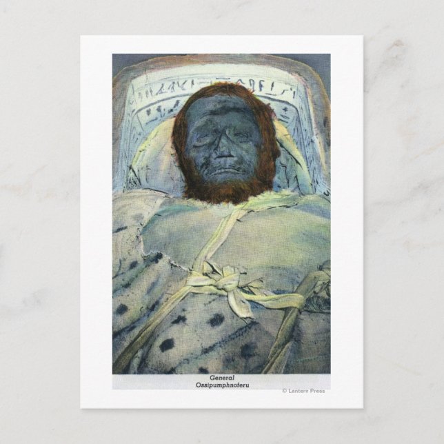 Sicht auf die General Ossipumphnoferu-Mummy Postkarte (Vorderseite)