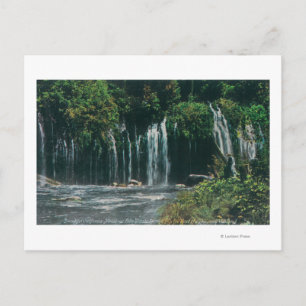 Sicht auf die Mossbrae FallsShasta Springs, CA Postkarte