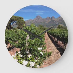 Sicht auf die Weinberge. Stellenbosch Große Wanduhr